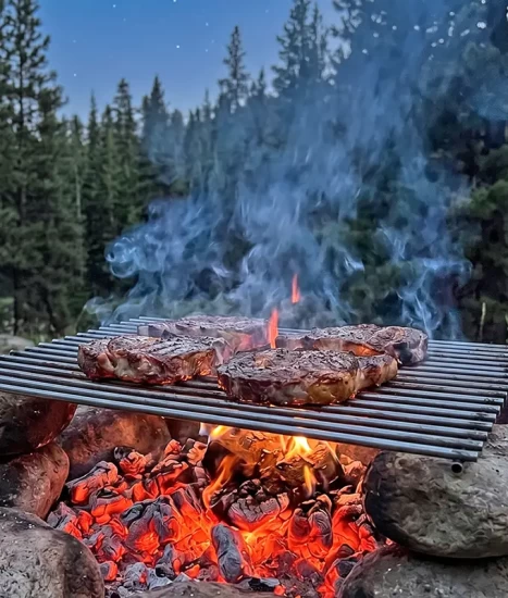Grill pentru grătar cărbuni, oțel 6 mm, 35 x 45 cm