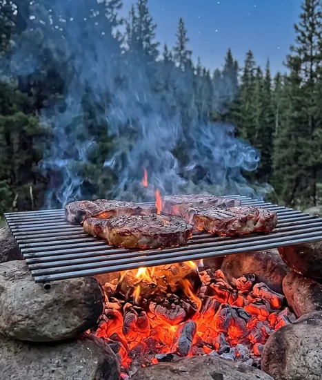 Grill pentru grătar cărbuni, oțel 6 mm, 45 x 55 cm
