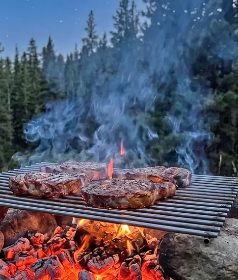 Grill pentru grătar cărbuni, inox 6 mm, 30 x 70 cm